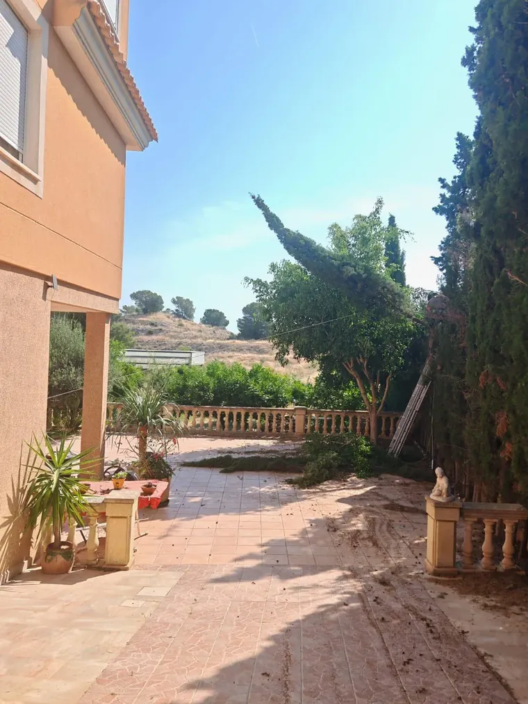 Terraza tras retirar un ciprés podado